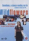 Wildflowers (1999)3.jpg